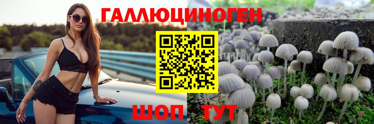 Качканар  Псилоцибиновые грибы ЛСД  Вход с VPN 