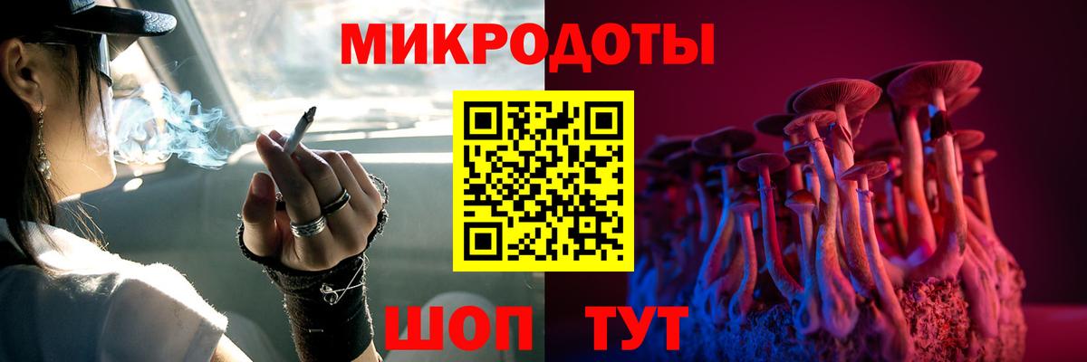 Псилоцибиновые грибы Psilocybine cubensis Качканар